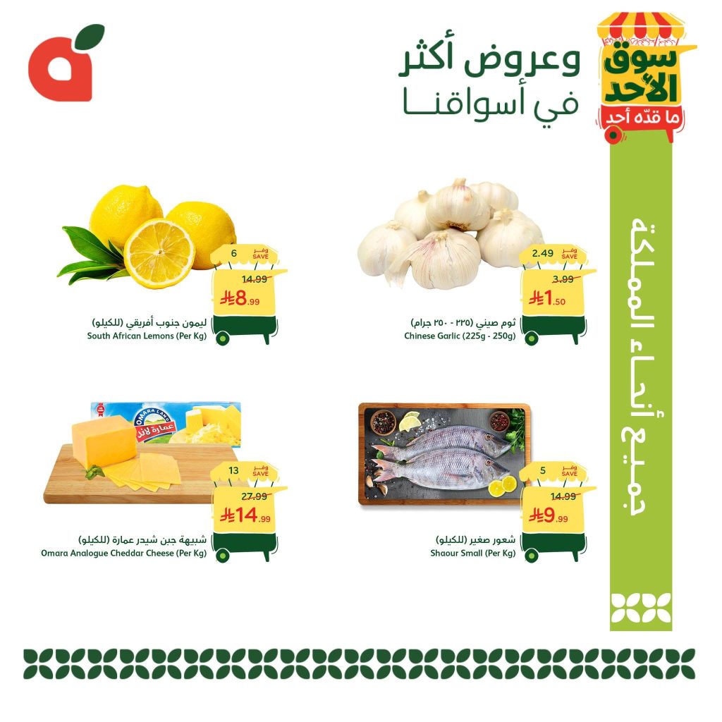 عروض بنده