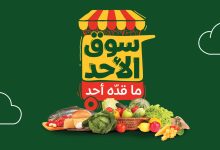 عروض بنده