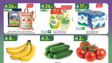 عروض الدانوب
