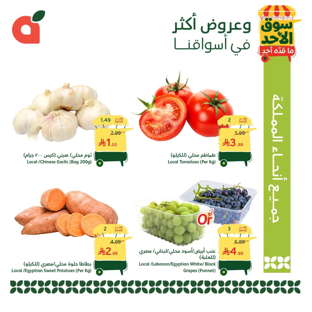 عروض بنده